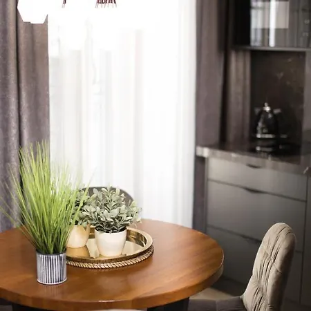 Jacuzzi Main Square Apartment